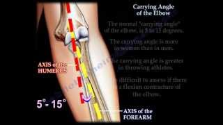 Famous Carrying Angle Of The Elbow - Everything You Need To Know - Dr. Nabil Ebraheim Wealth