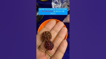 How to identify REAL RUDRAKSHA ✨❤️ || Difference between real and fake Rudraksha ❌