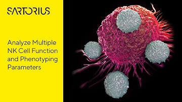 Assessment of NK Cell-Mediated Killing and Phenotypic Analysis