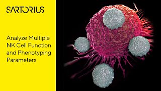 Assessment of NK Cell-Mediated Killing and Phenotypic Analysis