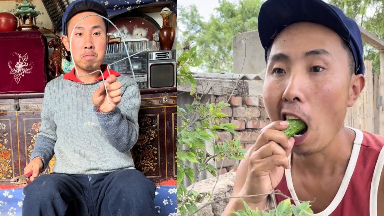 鄉下的生活真好，無拘無束