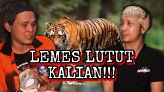 Download Lagu Ketemu MACAN Jawa, Katanya Sudah Punah?? Arya Sena Part 3 - Kisah Dunia Lain MP3