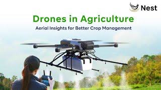 Drones In Agriculture: aerial insights for better crop management
