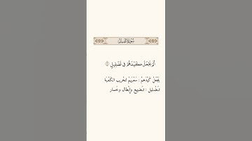 سورة الفيل الشيخ صالح بن حميد #معاني_الكلمات