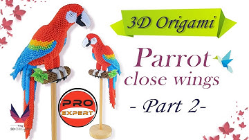 3D Origami Big Parrot_Close Wings_Part 2_Pro-Expert_Tutorial