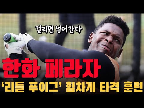 &#39;175cm 리틀 푸이그&#39; 한화 페라자, 키는 작아도 타구 속도는 175km 이상, 홈런성 타구