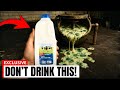 10 Milk Brands to Avoid in Australia 🥛