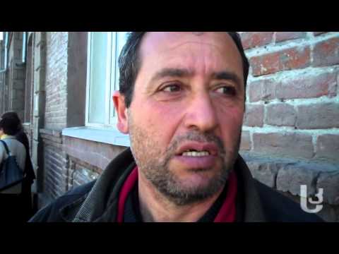 გამოკითხვა - ენის სტატუსი [video]