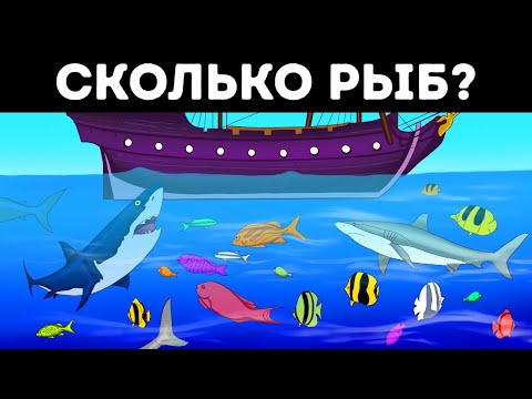 Я потратил несколько часов на решение этой загадки, сможете ли вы сделать это быстрее?