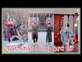 “Tát Nhật Lãng Rực Rỡ“《火红的萨日朗》Trào lưu làm mưa làm gió trên Tik Tok