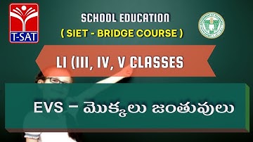 SIET Bridge Course |  L1 (III, IV, V) | EVS – మొక్కలు జంతువులు || 06.07.2021
