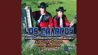 Video thumbnail of "Los Charros de Luchito y Rafael - Soy Un Vagabundo"