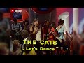 The cats  lets dance 19081972