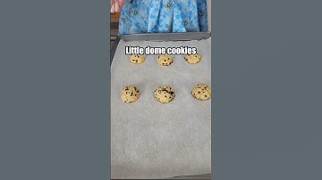 Questionable chocolate chip cookies 🍪
