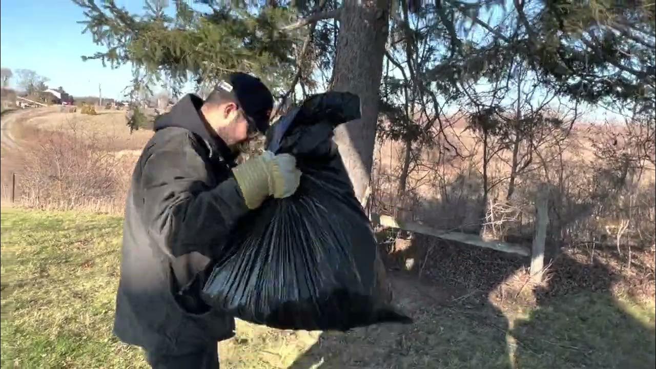 Squirrels eating Christmas lights and how to put up lights on a 90’ tree YouTube