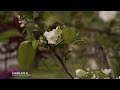 Canon EOS M 4.2k RAW 10bit 16:9 24fps(23.976) | Canon EF 50mm f1.4 USM | 4K Video(Ansan Korea)