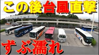 【台風】夢の国にバス出発ラッシュを撮りに行ったら、奇跡が起きた