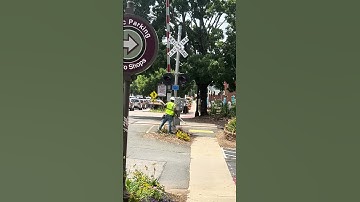 Signal maintainer cleans the lights #csxt #csx #railroad #csxrailroad #railway #csxtransportation