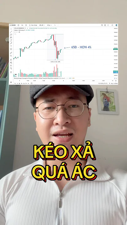 Một phiên giao dịch tàu lượn #chungkhoan #vsa #cophieu #vnindex #dautu #wyckoff #daututaichinh