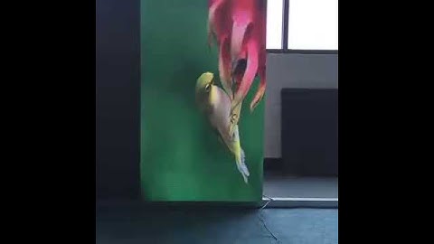 p3 led screen full color