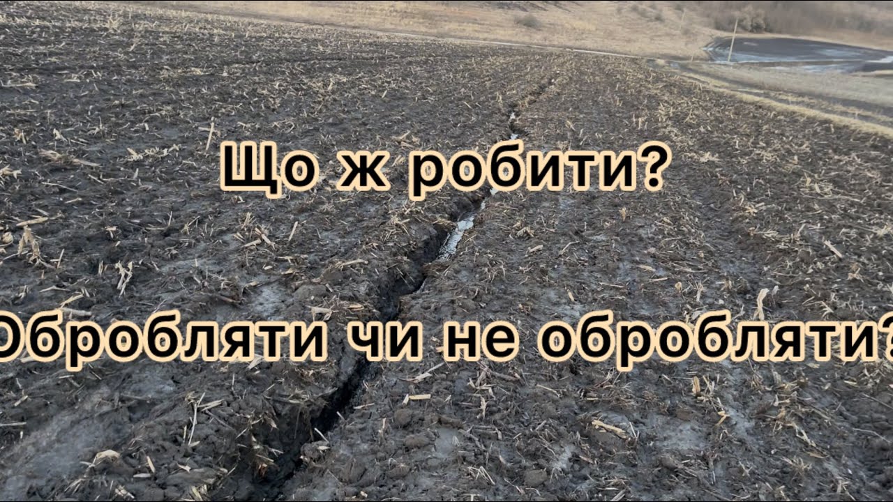 Обробіток пливе, прямий посів стоїть, кожен вибирає для себе