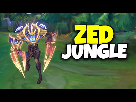 Zed : Ormanın En Hızlı Suikastçisi