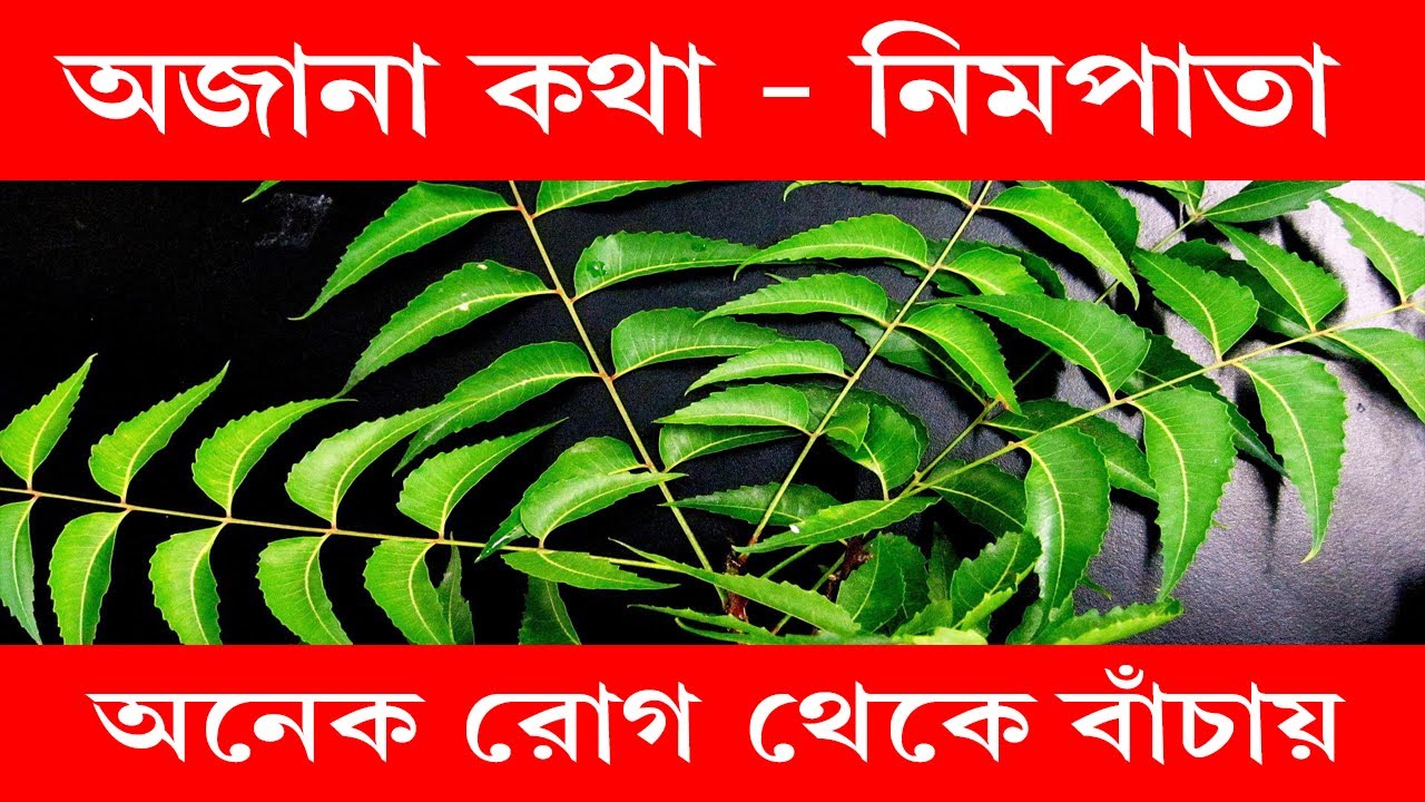 Neem leaves benefits in Bengali YouTube