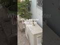 Does Outdoor Unit of your ac needs a cool place?