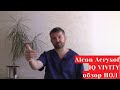 AcrySof IQ Vivity - ИОЛ с расширенной глубиной фокуса от Alcon