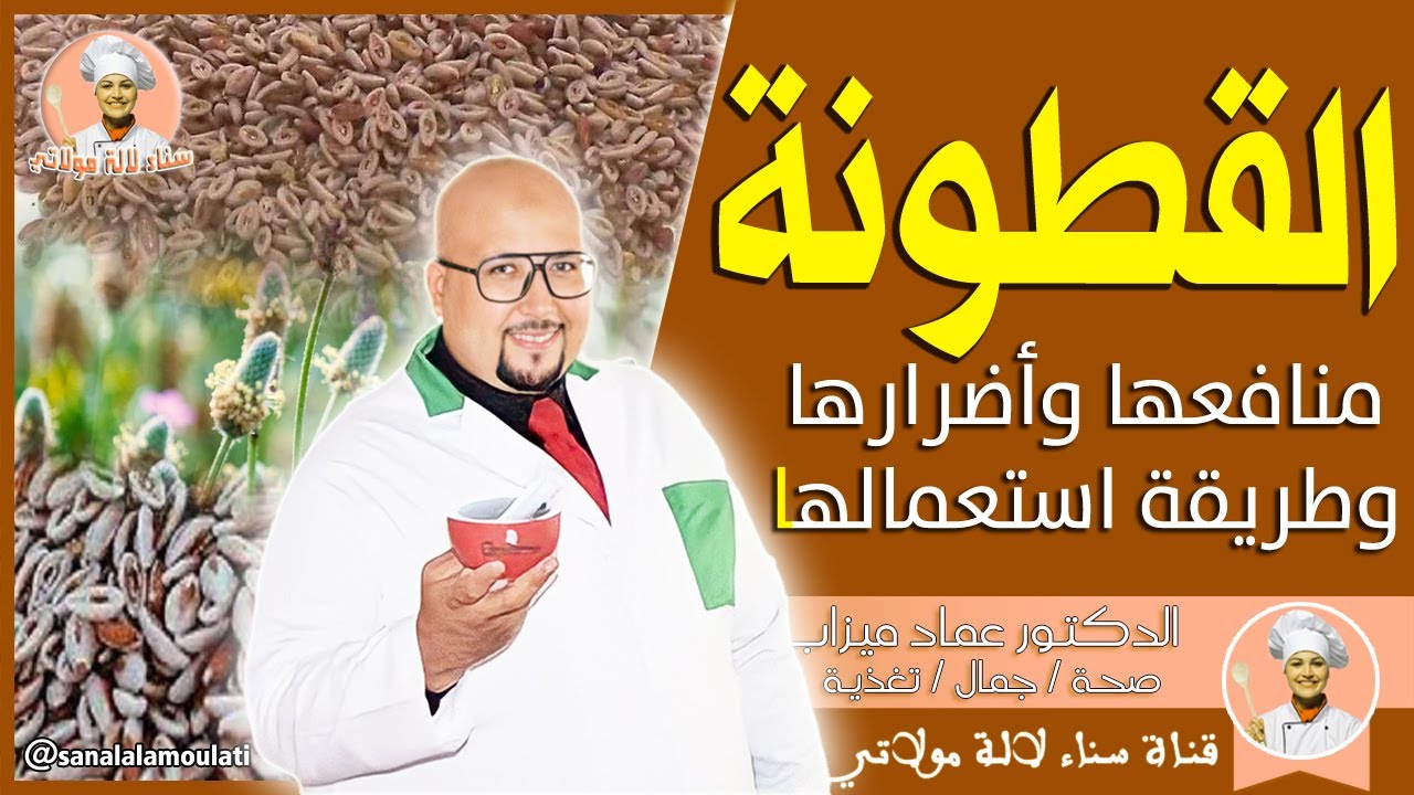 القطونة : منافعها وأضرارها وطريقة إستعمالها في الوصفات مع الدكتور عماد ميزاب