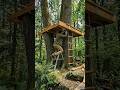 Don’t Skip This Treehouse Build! The Final Result is INSANE.