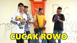 Cucak Rowo - Versi Pengamen Montal Mantul WRD5 Indramayu