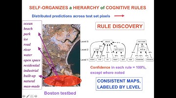 Keynote by Prof. Steven Grossberg at the Brain Informatics 2020 Conference