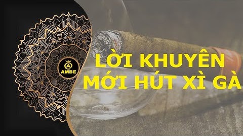 Mới hút C.i.g.a.r hãy lưu ý những lời khuyên này | Những điều thú vị về C.i.g.a.r Phần 28 | Ambe