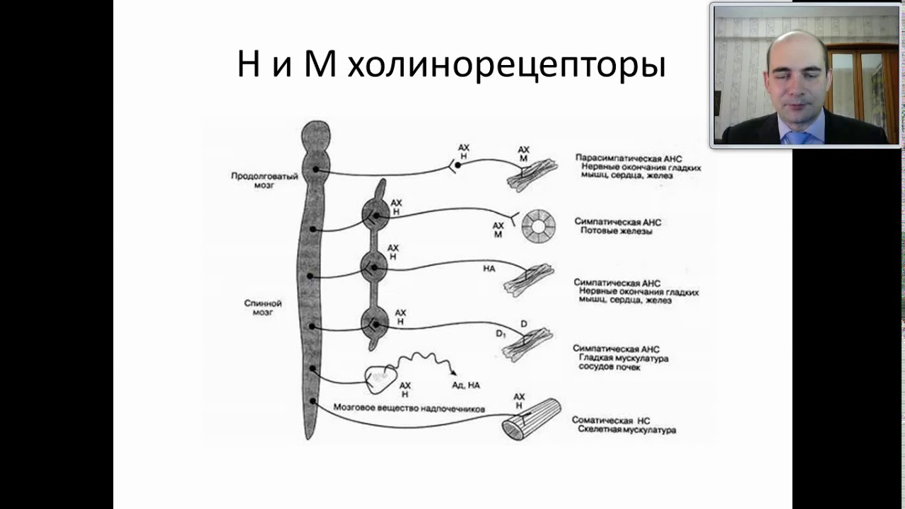 5 Общая психофармакология - YouTube