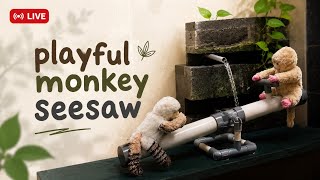 Oddly Satisfying Water Seesaw Live || Relaxing Stream (18/06)