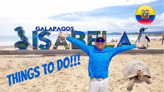 GALAPAGOS ON YOUR OWN!  TOP THINGS TO DO ON ISABELA ISLAND!