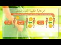 الرعاية الطبية أثناء الحمل - الأمومة والطفولة - مادة التربية الصحية والنسوية