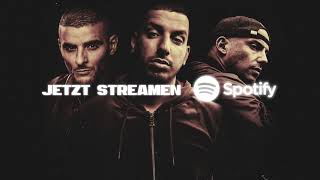 Video-Miniaturansicht von „AriBeatz feat. RAF Camora & Sofiane - Perfekt (Official Audio)“