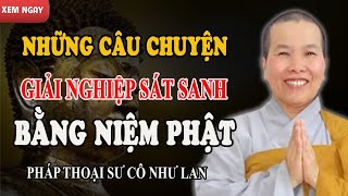 NHỮNG CÂU CHUYỆN (CÓ THẬT) GIẢI NGHIỆP S.ÁT SANH BẰNG NIỆM PHẬT (Cực Hay) - Pháp Thoại Sư Cô Như Lan