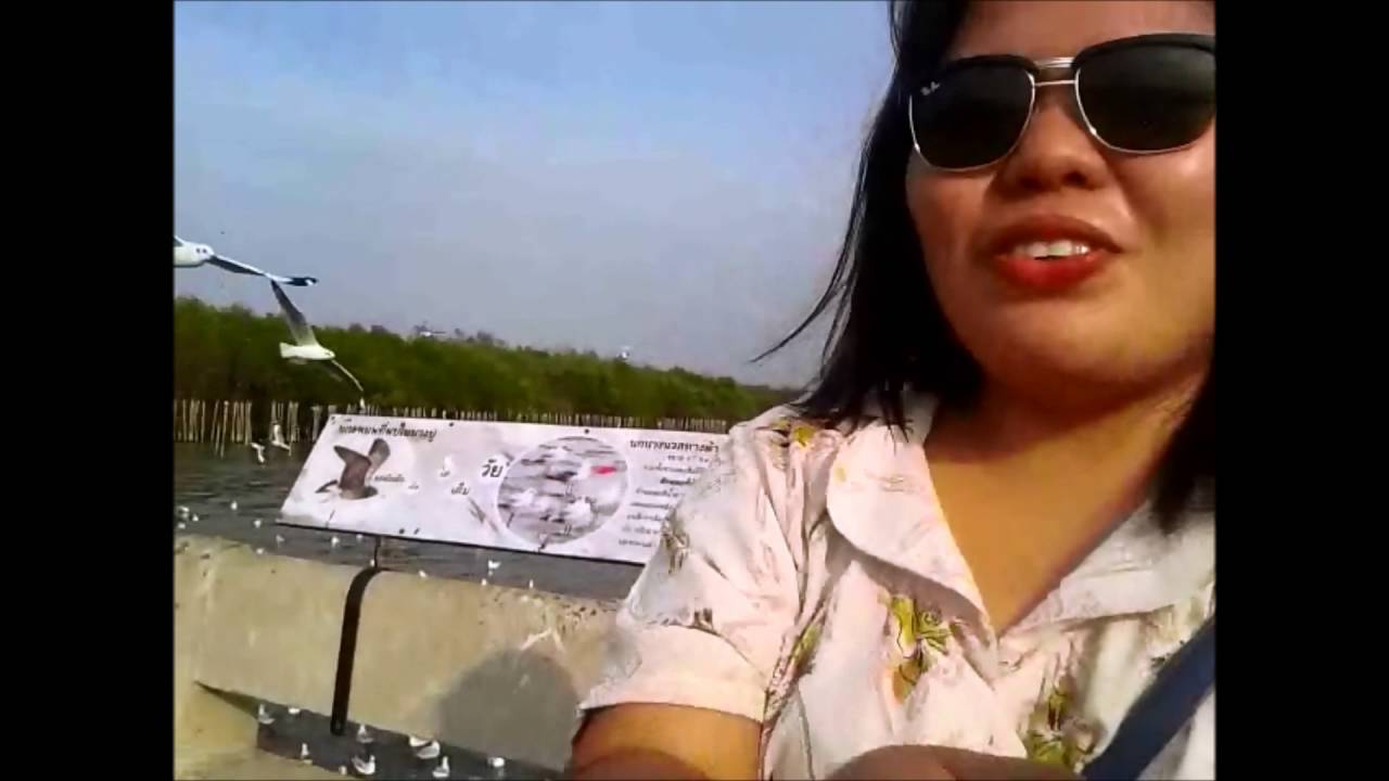 bird watching at Bangpoo, Thailand