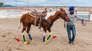 COMO EMPEZAR A DAR LADOS A TU CABALLO !!!