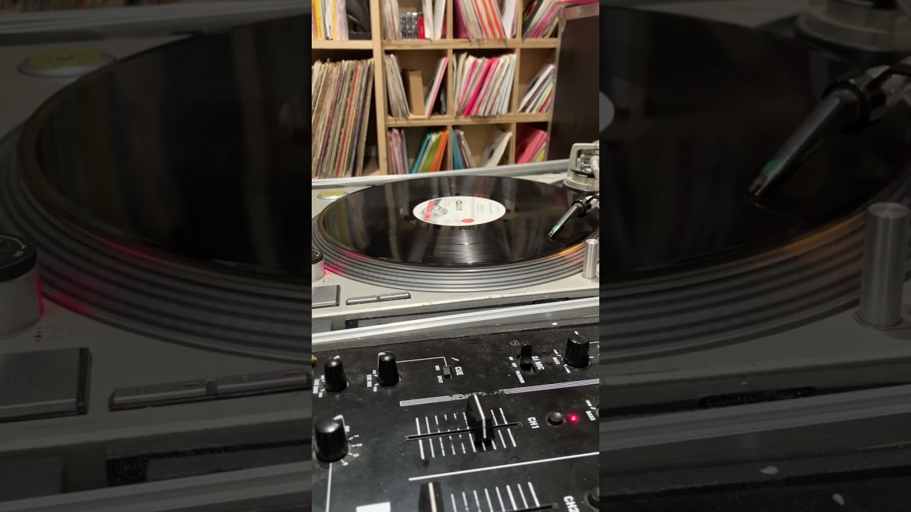 Judy Mowatt & Tony Rebel - Guilty With Explanation