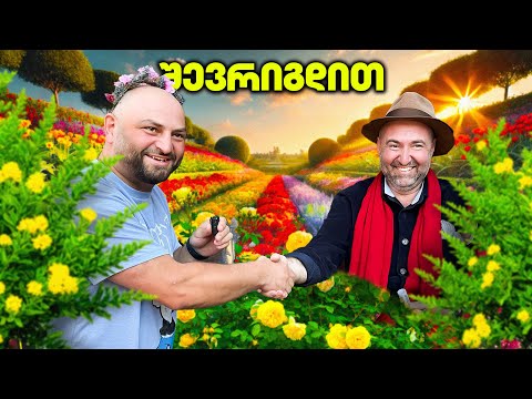 დიდი შერიგება შევარდნაძესთან, თბილისობა და სწრაფი დრიფტი