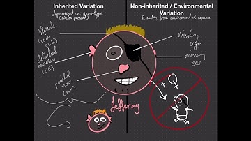 L1 NCEA Genetics - Inheritable vs non-inheritable variation