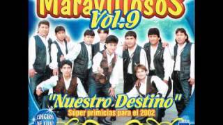 Video thumbnail of "Los Maravillosos - Infiel amor"