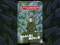 【宇宙船サジタリウス】呪われし者と選ばれし者