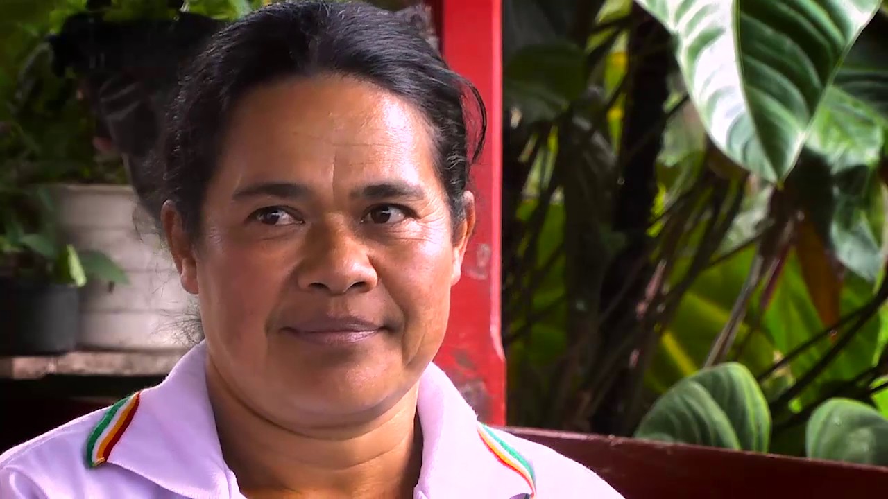 GASTRONOMIA INDIGENA - HERENCIAS