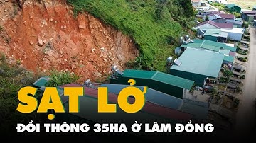 Đồi thông 35ha đang sạt lở, nhiều hộ dân ở Lâm Đồng phải sơ tán