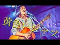 黄色いシャツ / タカセミュージックラボライブ映像/ ROCO(original)【弾き語り】 34
